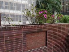 -香港大学