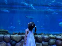 -华夏文旅西安度假区