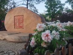 -莲花池公园