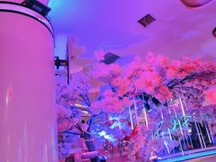 -巴特餐饮6加1音乐餐吧·新疆菜