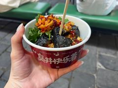 -黑色经典臭豆腐·湖南特产(步行街店)