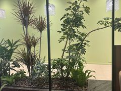 -THE WOODS 简餐 (国贸商城店)