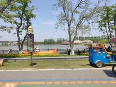 -上海长兴岛郊野公园