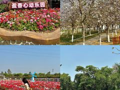-盈香心动乐园