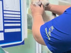 -宠宠动物医院(金鸡岭街店)