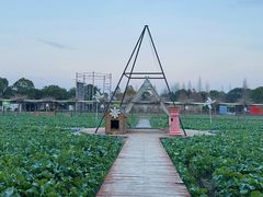 -金稼园·金平湖农家菜