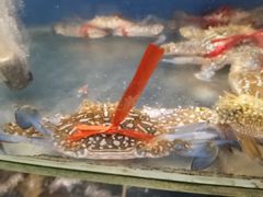 -Sasa的海(蜈支洲岛后海店)