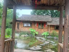 -南山植物园