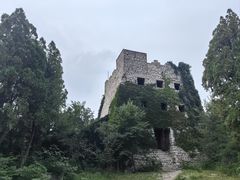 -原山国家森林公园