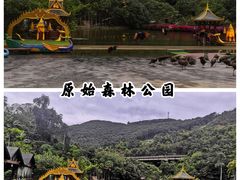 -西双版纳原始森林公园