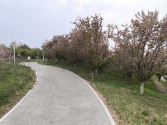 -灞河西岸滨河公园