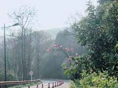 -宝界山林公园