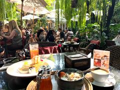 -Fern Forest Cafe