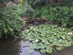 景点-晓港公园
