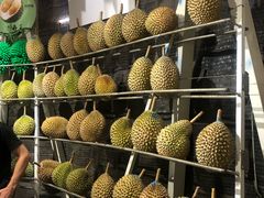 -都念榴莲·城市榴莲