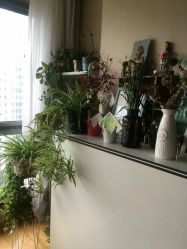 点击看大图 -笑美甲美睫工作室