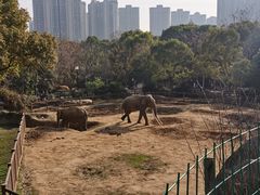 -南昌动物园