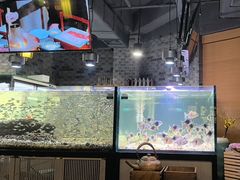 -常赢三兄弟·清真涮肉·清真炒菜(朝阳新城店)