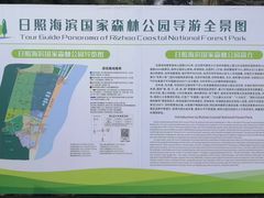 -日照海滨国家森林公园
