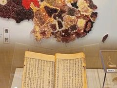 -广东中医药博物馆
