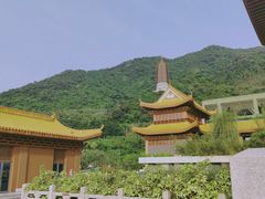 -深圳仙湖植物园