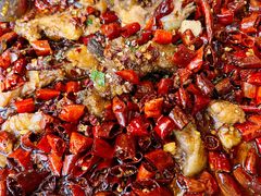 -汉水缘鲜鱼庄(黄雁村店)