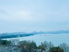 -杭州君悦酒店