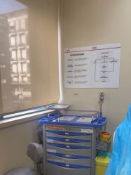 -上海玫瑰医疗美容医院