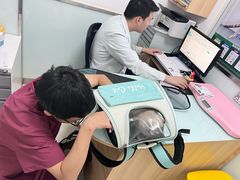 -宠福鑫康馨动物医院·骨科·眼科