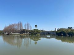-江心屿景区
