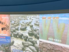 -上海昆虫博物馆