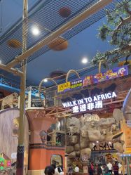 -卡通尼·Safari非洲探索乐园·生日会(金桥国际商业广场店)