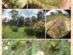 -广东花都香草世界旅游度假区