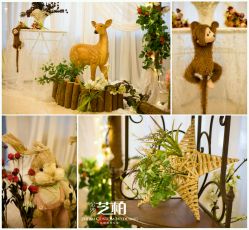 -保定金沙芝柏婚礼策划