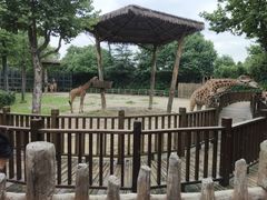 -上海野生动物园