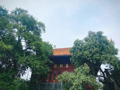 -沙市市中山公园