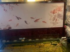 -樱蘭·影院足道·养生SPA(三里屯店)
