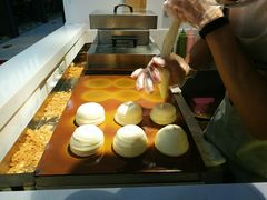 -狐狸和向日葵(北京路店)
