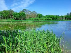 -大兴滨河森林公园