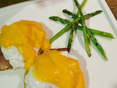 -百好乐宠物友好餐厅(朝外大街店)