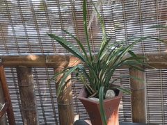 -行人小筑·茶馆(岑村火炉山分店)