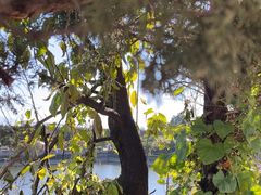 -少林寺欢喜地素斋馆