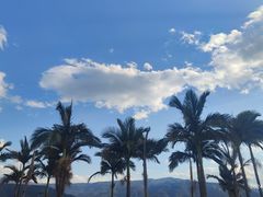 -西昌邛海湿地