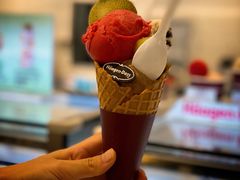 -哈根达斯(红谷滩万达店)
