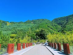-卧龙中华大熊猫苑神树坪基地