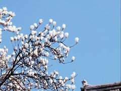 -龙华寺
