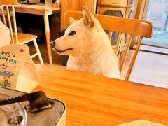 -柴の食堂·日式家庭料理·熊之肆(大学路店)