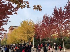 -辽宁大学(崇山校区)