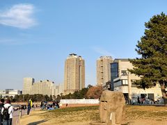 -台场海滨公园船码头