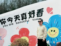 -荷兰花海